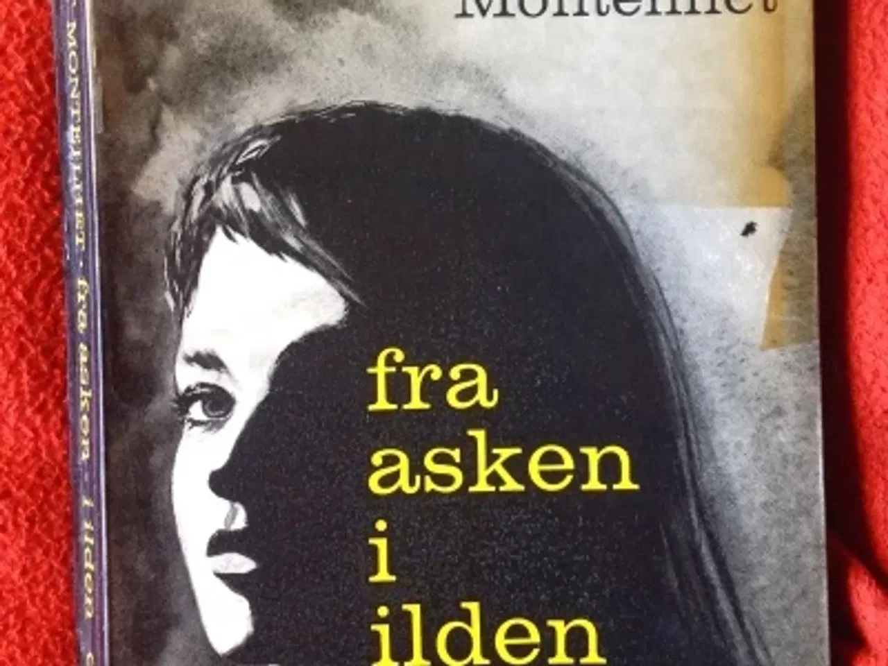 Billede 1 - Hubert Monteilhet: Fra asken i ilden