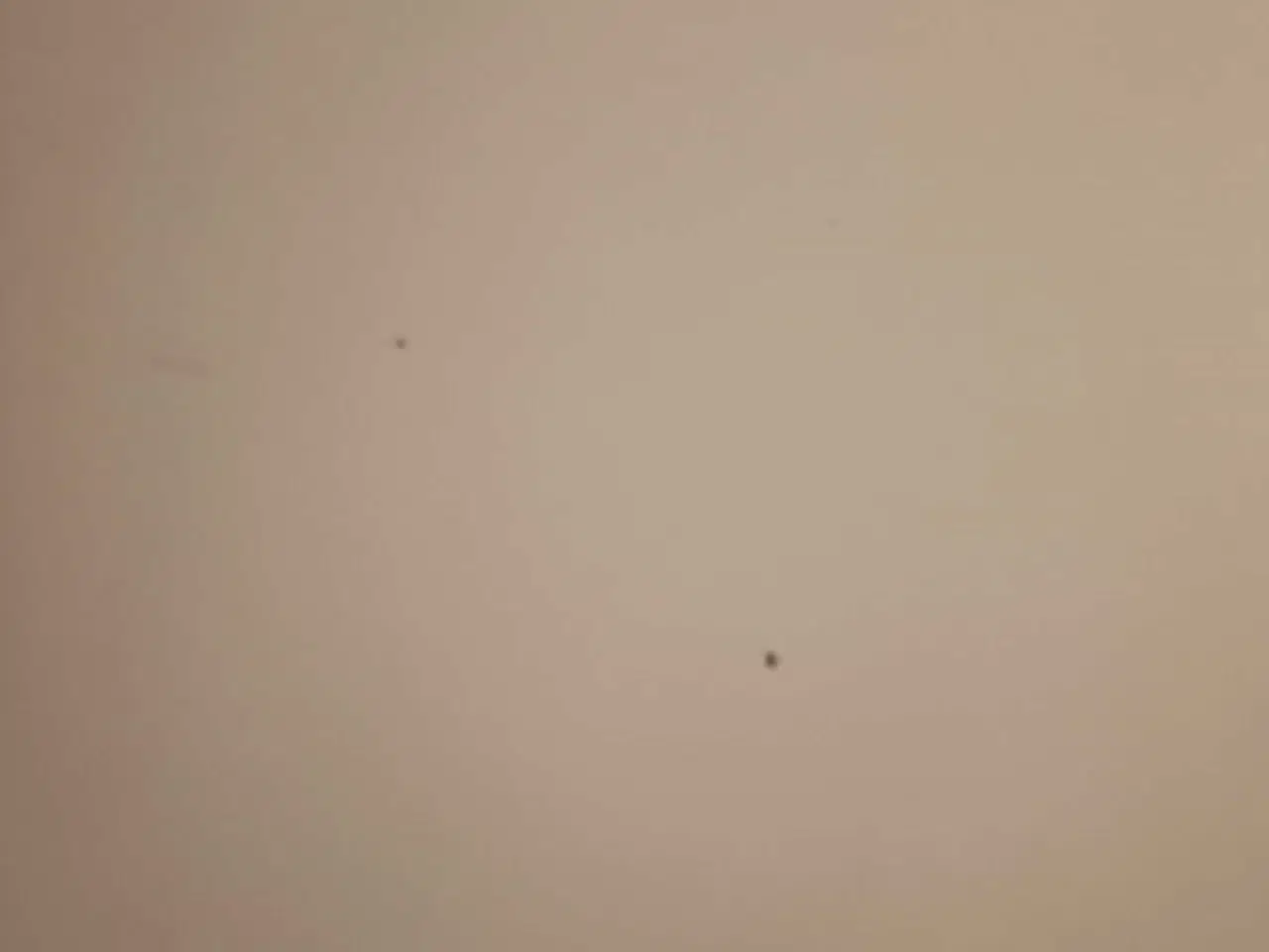 Billede 2 - Rundt sofabord med hvid plade Ø90 og træben