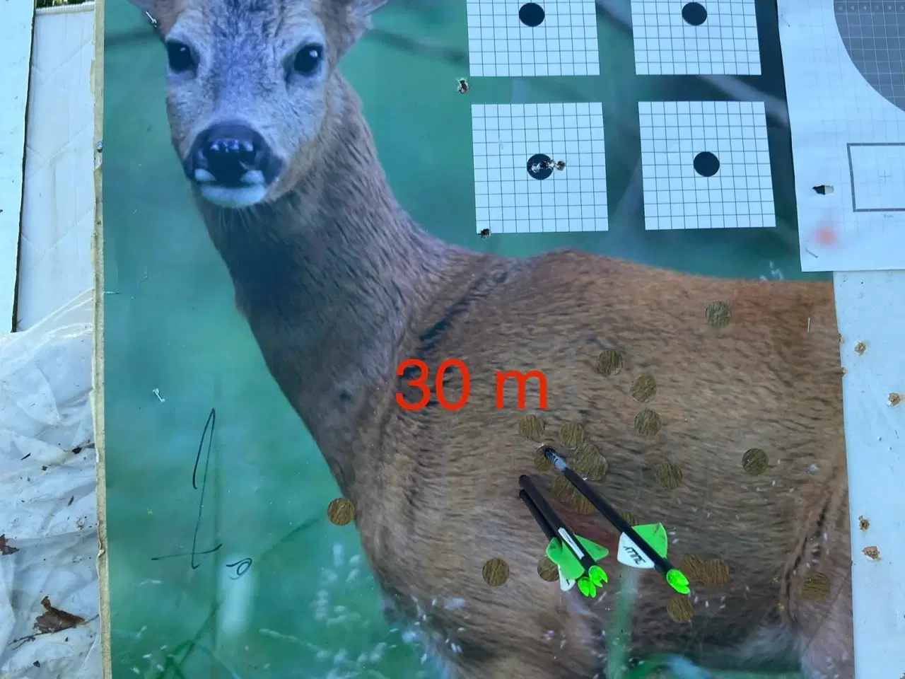 Billede 8 - Compound Bue, PSE Stinger Extreme