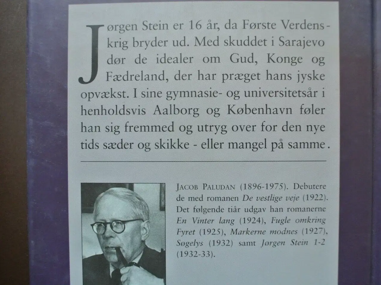 Billede 2 - jørgen stein 1-2. 1. torden i syd. 2. under regnbu