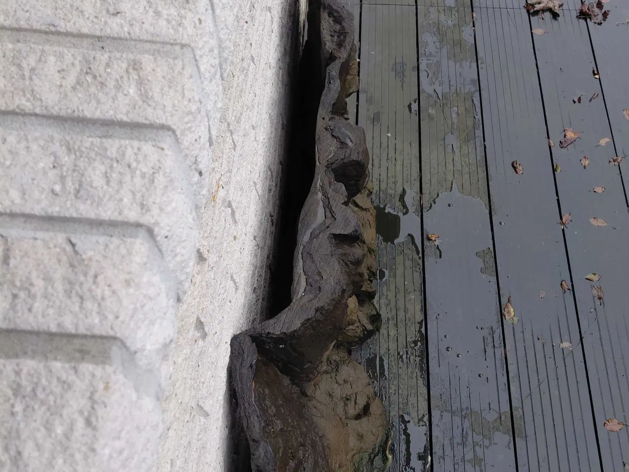 Billede 3 - 3d baggrund