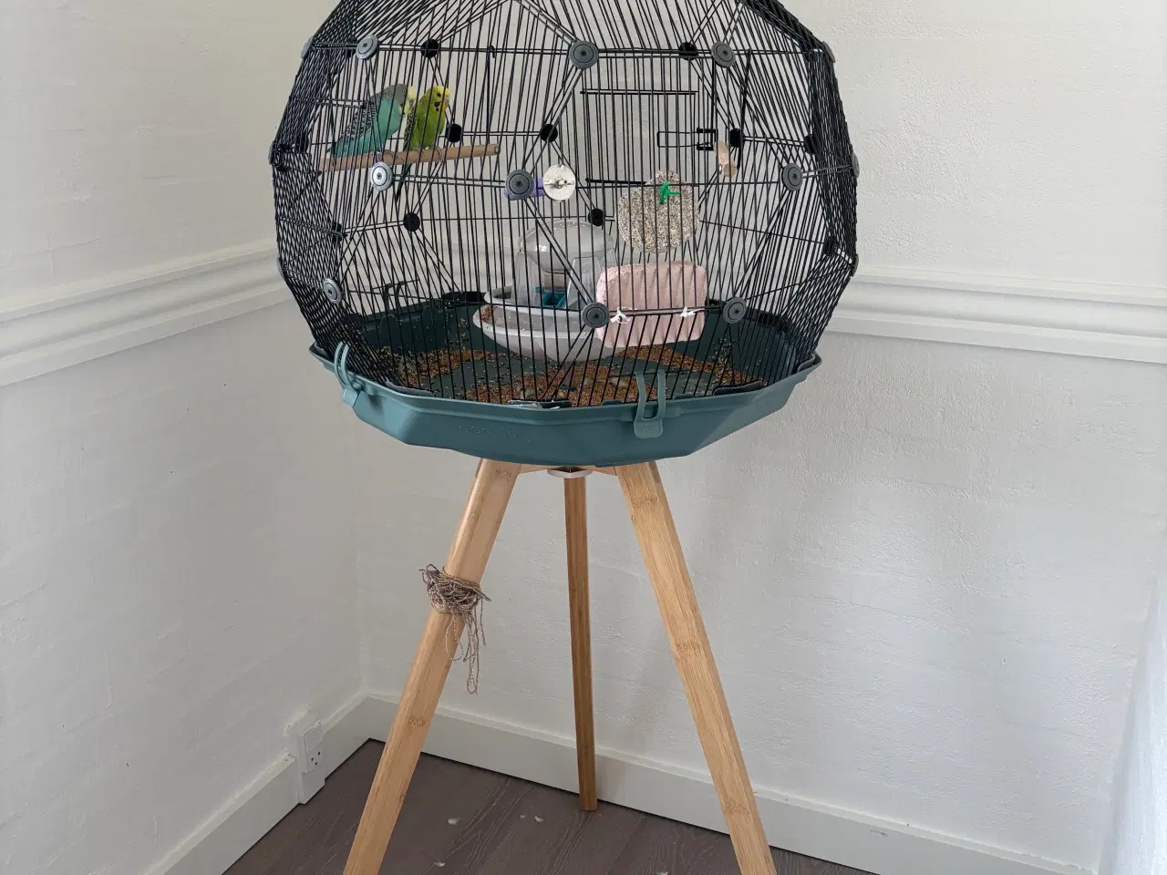 Billede 5 - Undulatbur med stativ og 2 undulater