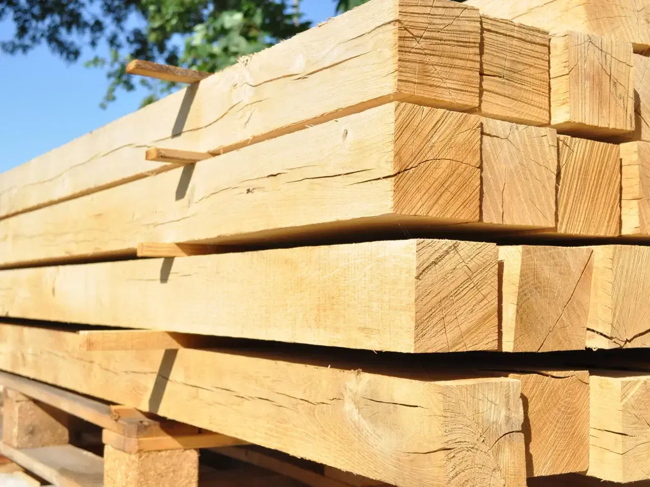 Billede 2 - Stolper, egetræ - hele DK