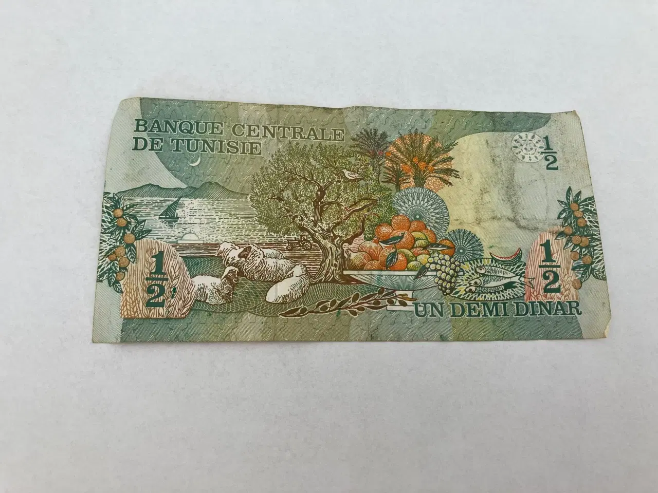 Billede 2 - 1/2 Dinar Tunisia 1973