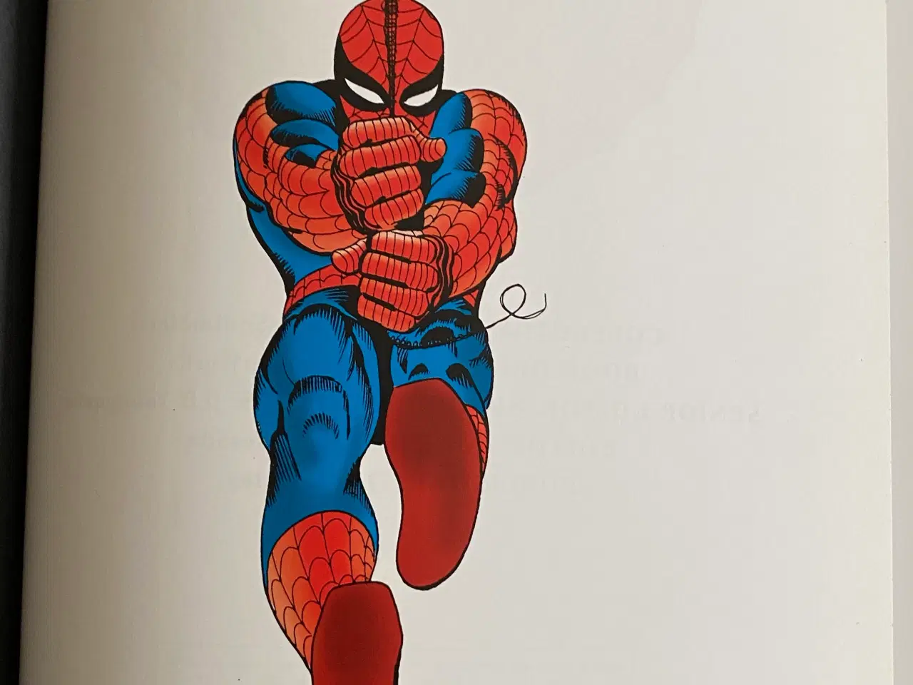 Billede 3 - The Amazing Spider-Man - OMNIBUS