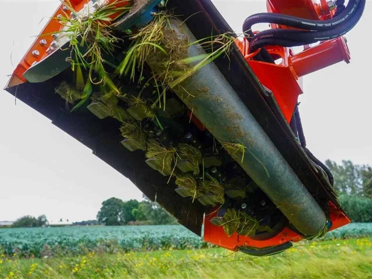 Billede 7 - - - - BOXER AM 125 elektrisk