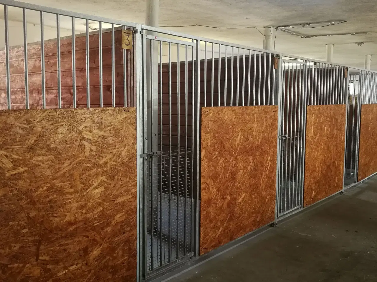 Billede 1 - Hunde bokse