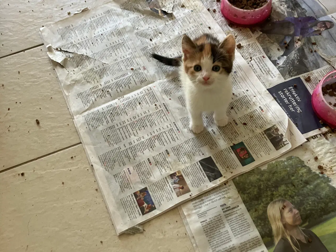 Billede 4 - de bliver 12 uger den 24-11