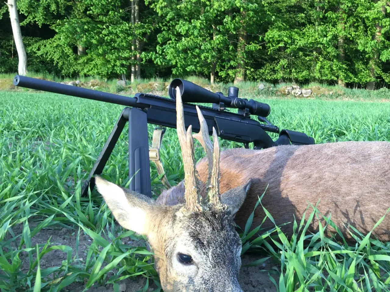 Billede 11 - Steyr Elite 223/5,56
