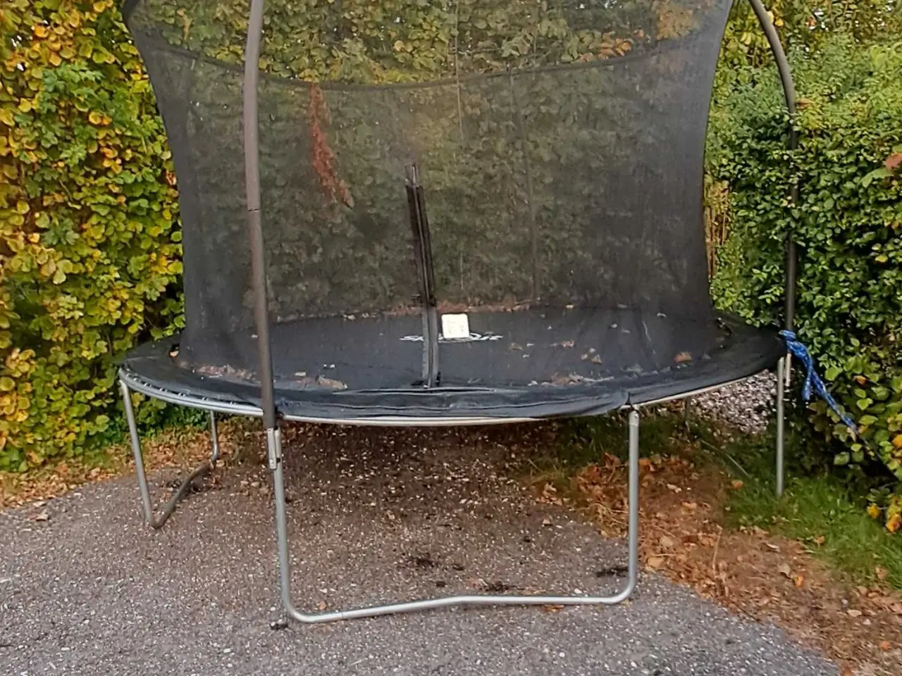 Billede 2 - Trampolin Ø 3.66