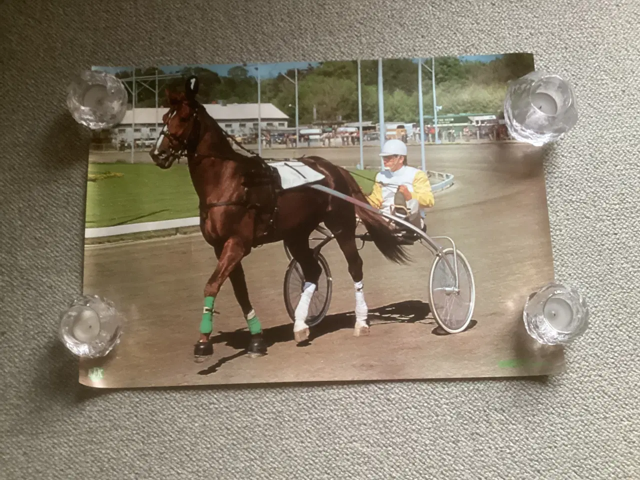 Billede 2 - Hesteplakat med Tarok