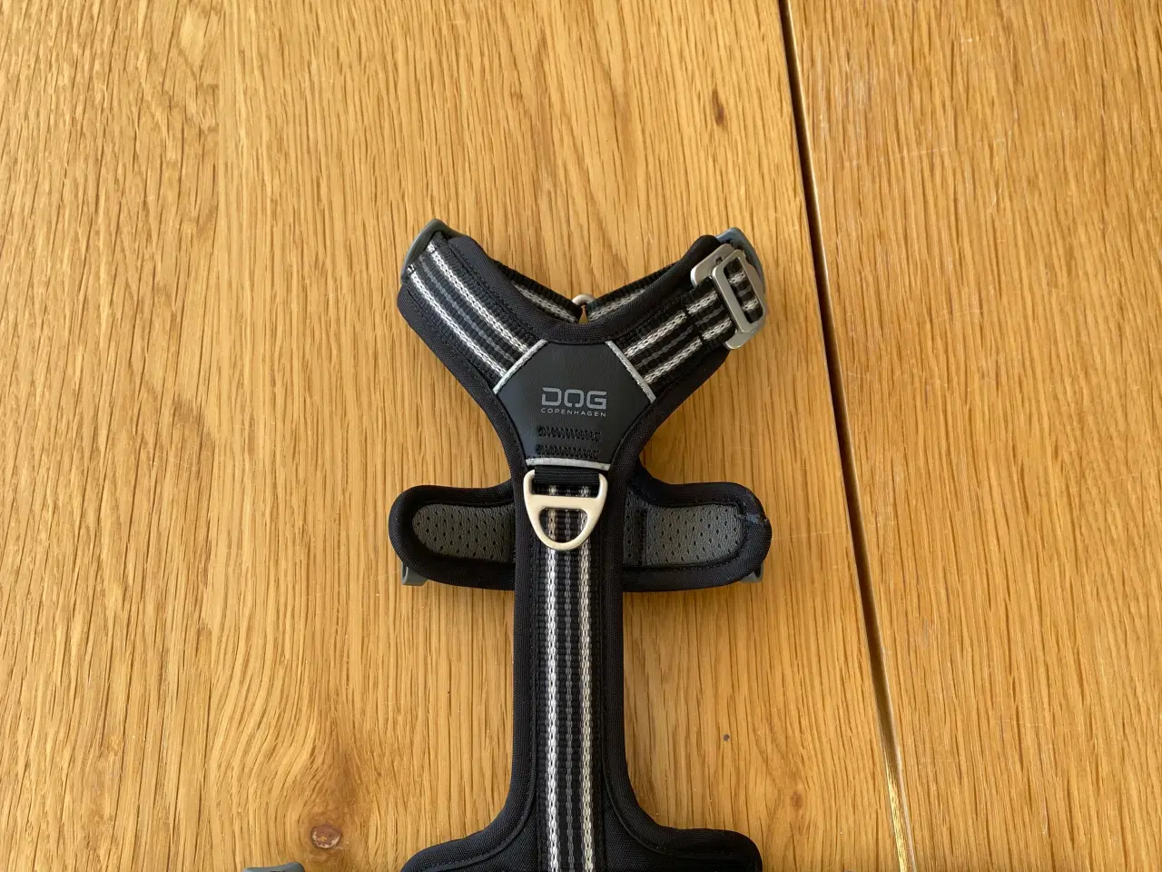 Billede 7 - Hundesele og jakker