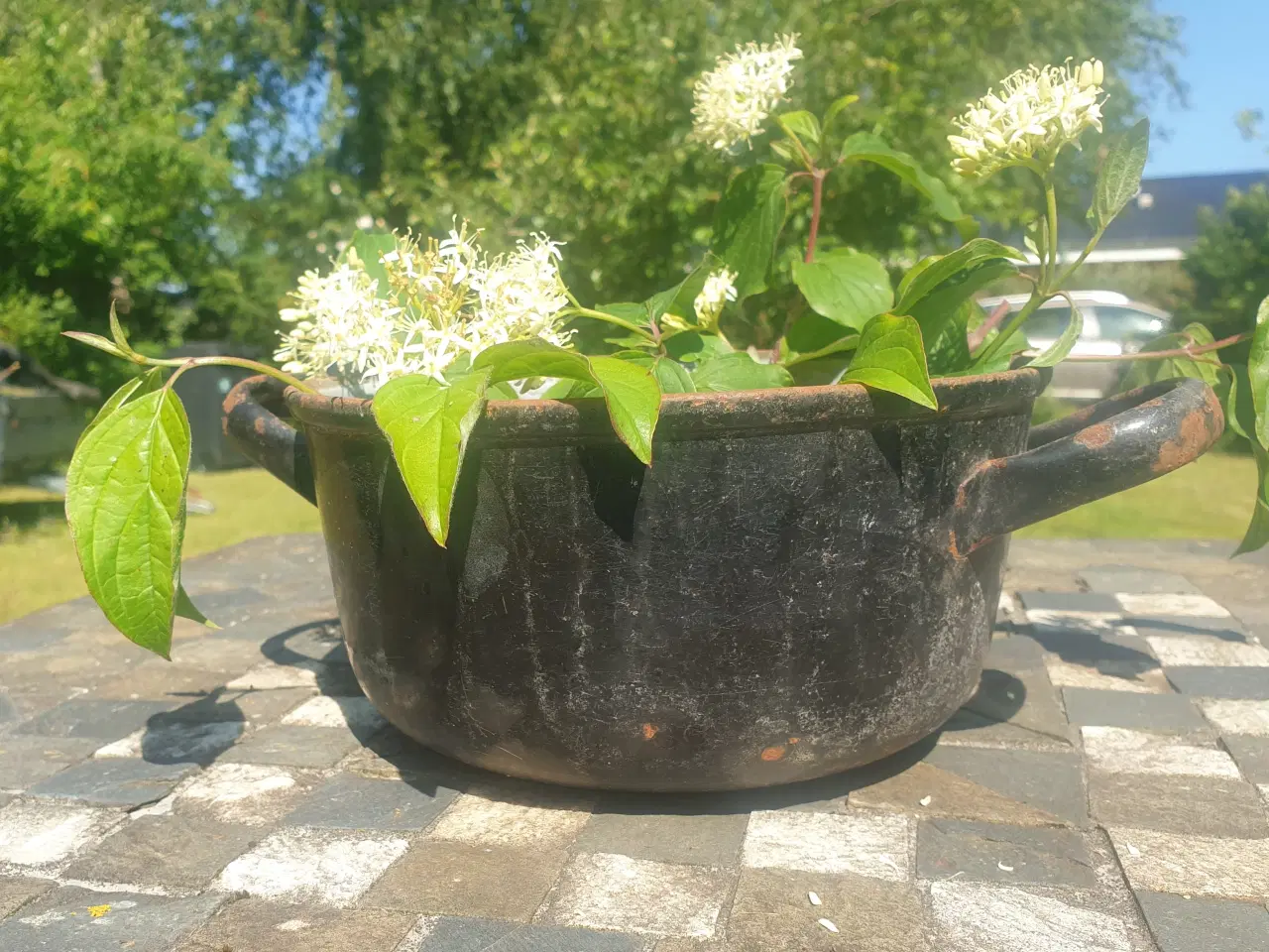 Billede 11 - Gamle Flotte Emaljerede Plantekar, Potter og Kande
