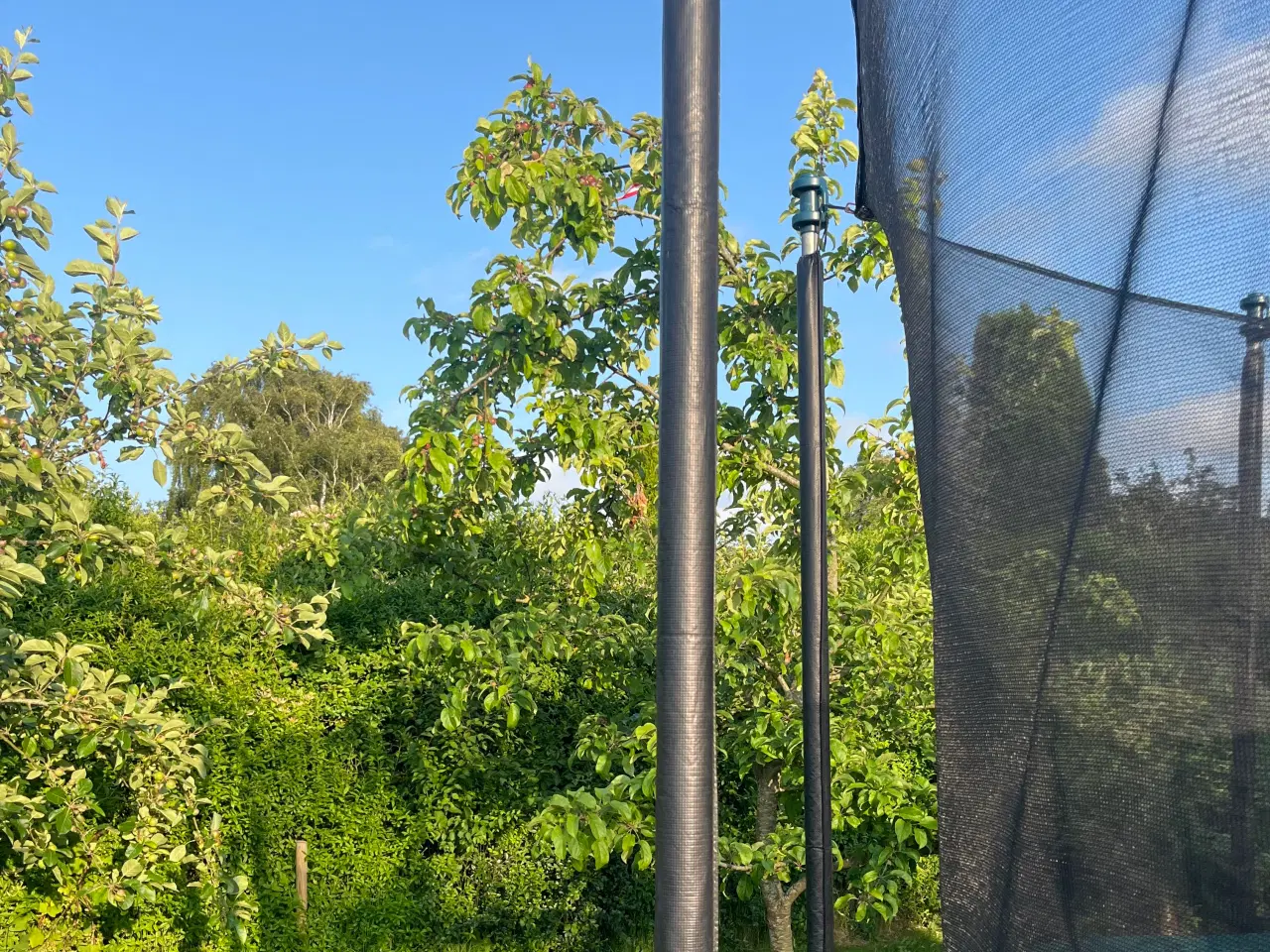Billede 3 - Berg Trampolin ø400cm