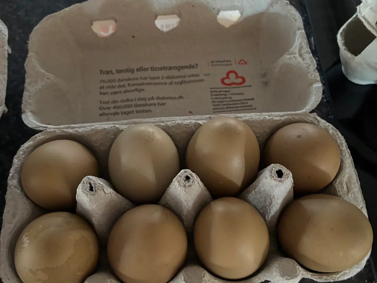 Billede 3 - Rugeæg grønlægger og olivenlægger