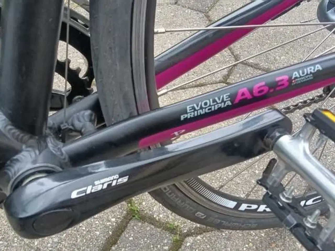 Billede 7 - Racercykel PRINCIPIA EVOLVE/ AURA A 6.3