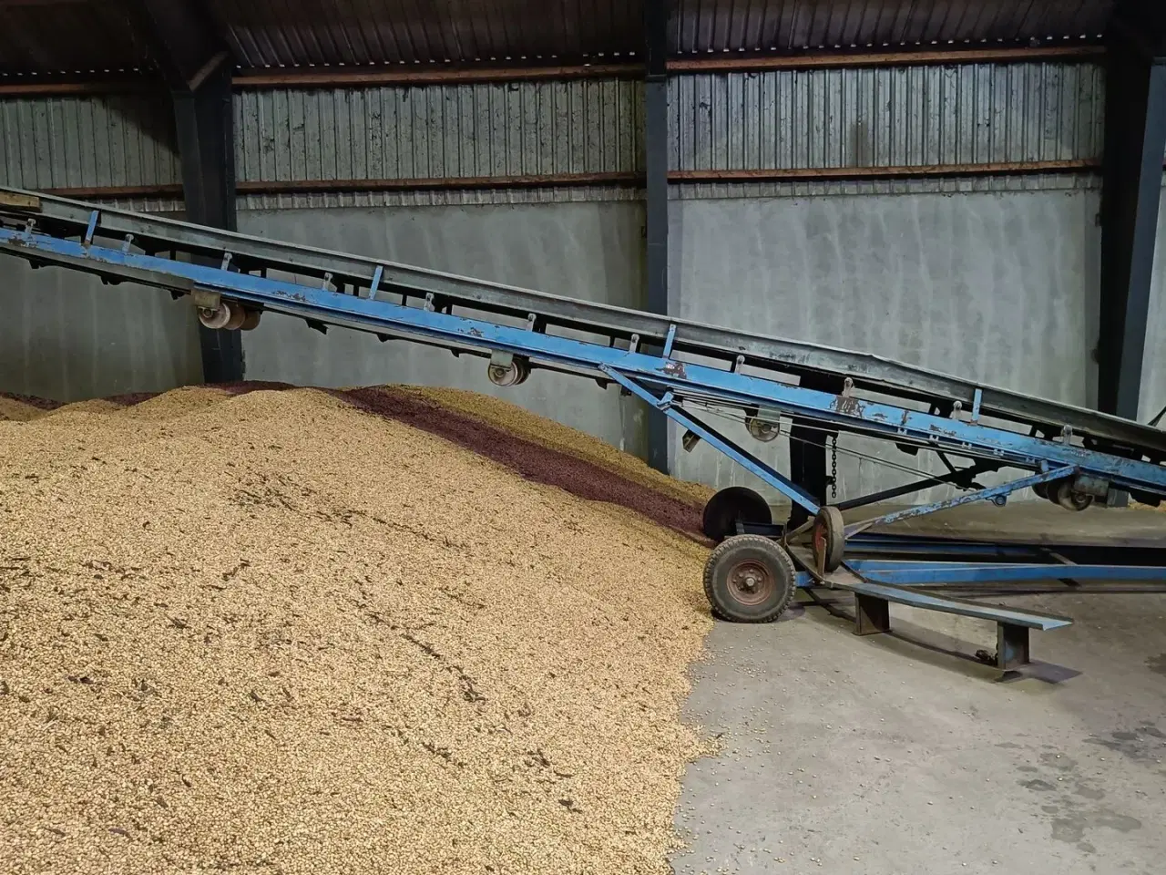 Billede 2 - - - - Kartoffel bånd svingbart