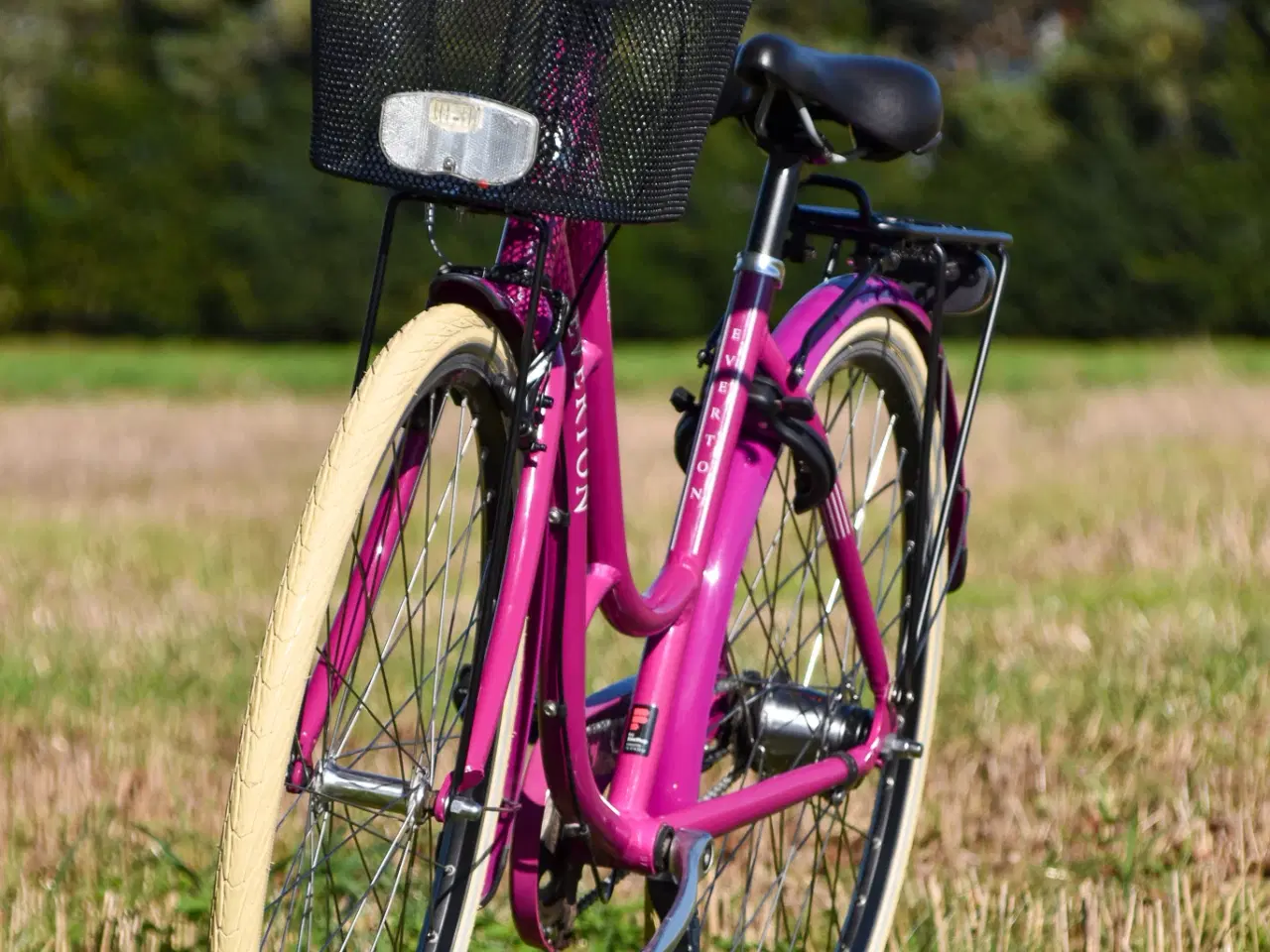 Billede 7 - Everton Nostalgic 7G 47CM