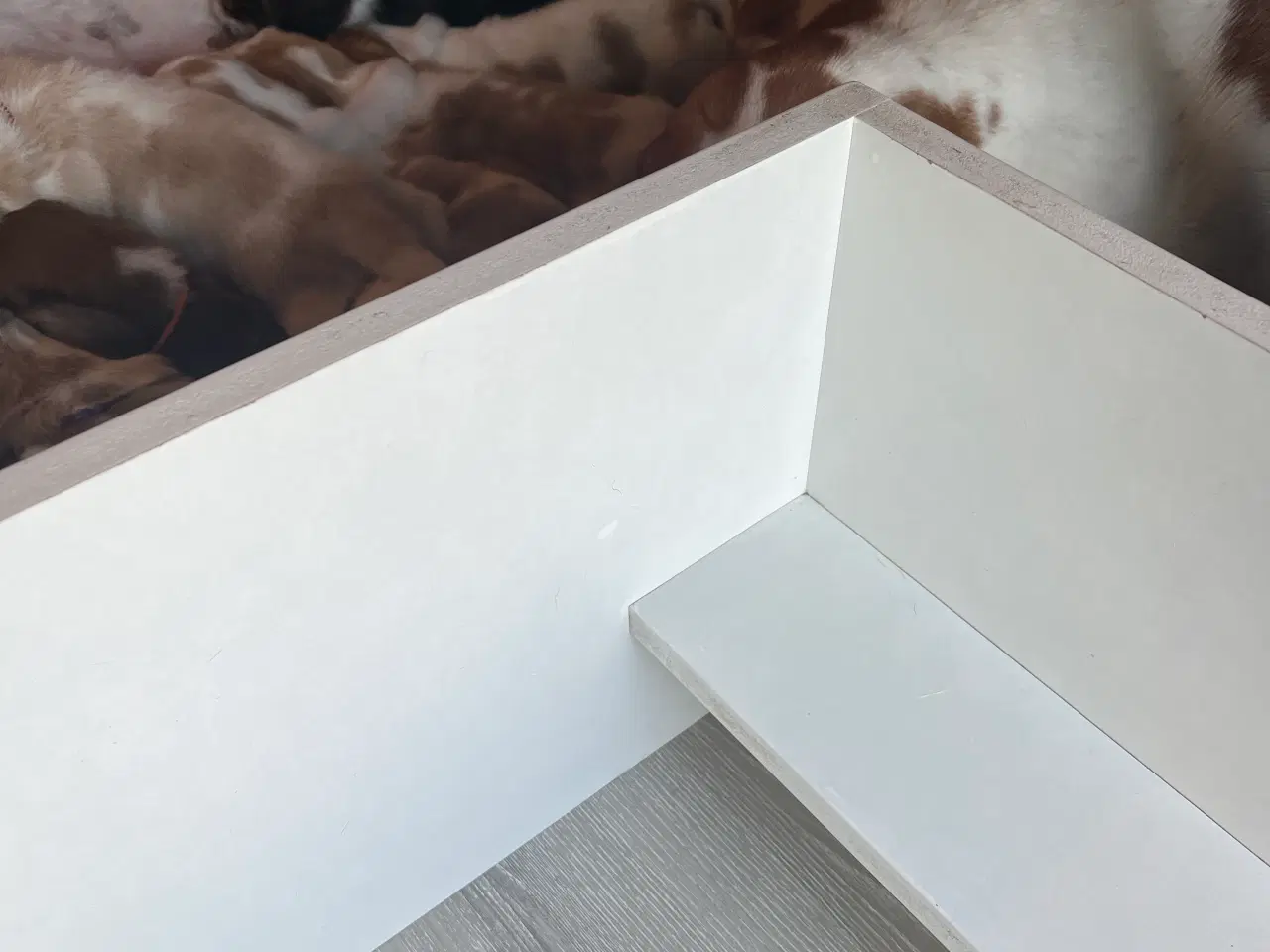 Billede 7 - Hvalpekasse fødekasse hund