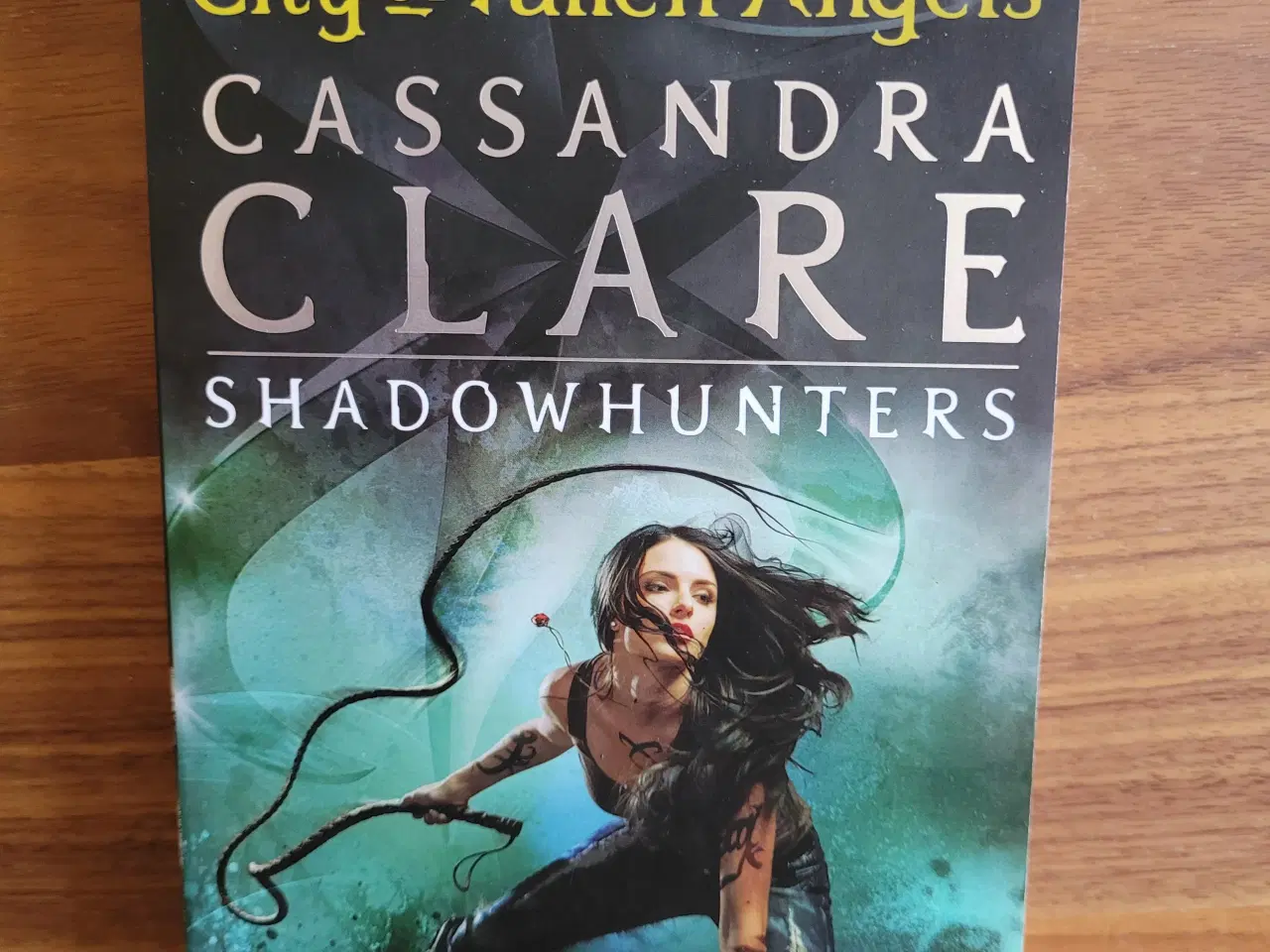 Billede 5 - The Mortal Instruments serien, Cassandra Clare