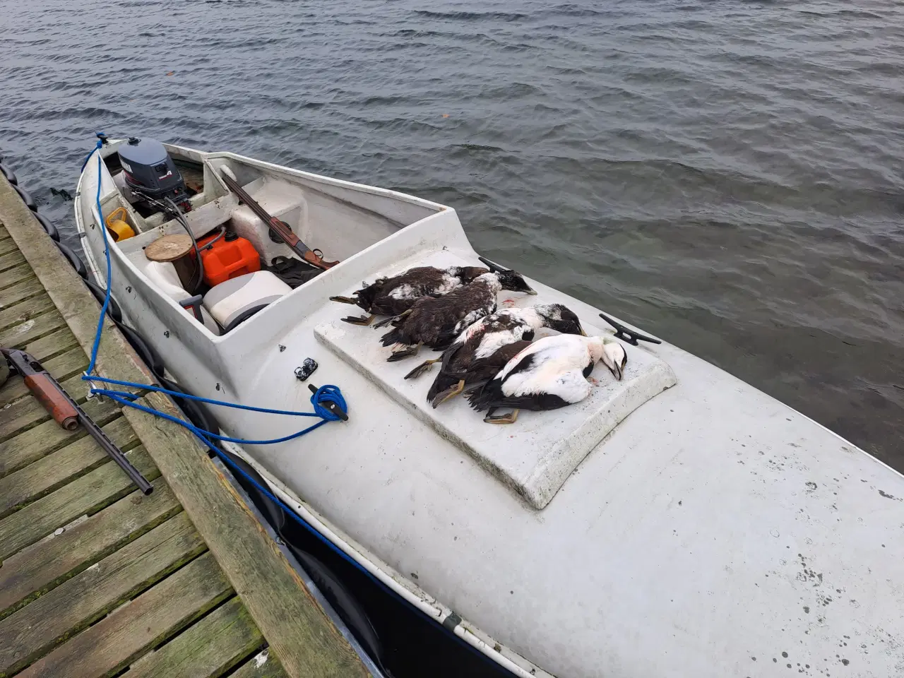 Billede 1 - Andkær jagtbåd 20fod 