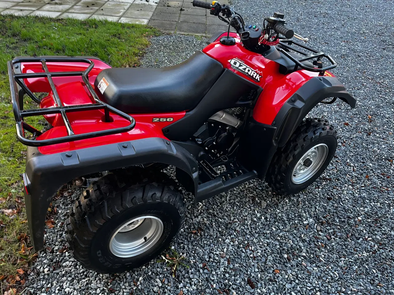 Billede 2 - Suzuki Ozark 250 LT-F 