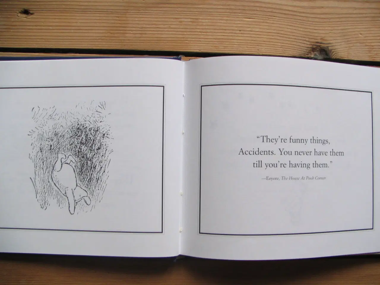 Billede 3 - Eeyore's Gloomy Little Instruction Book
