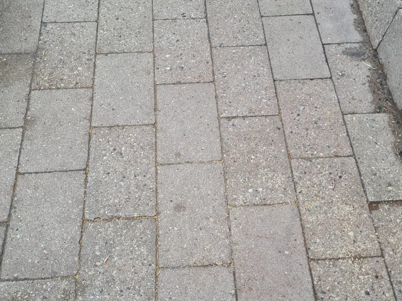 Billede 2 - Belægningssten til haven