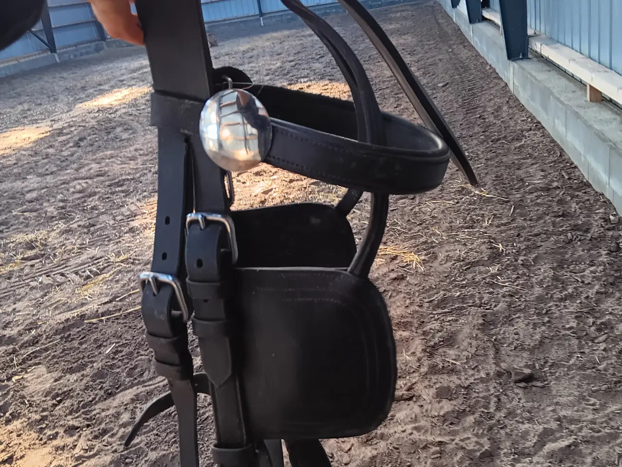 Billede 2 - Kører hovedtøj og seletøj sælges