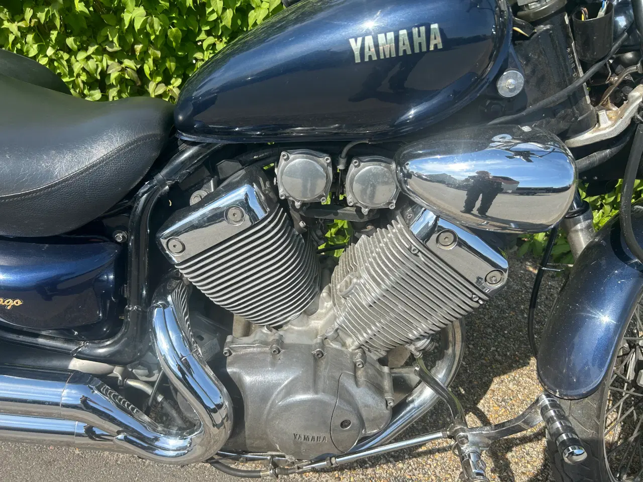 Billede 6 - Yamaha Virago 535