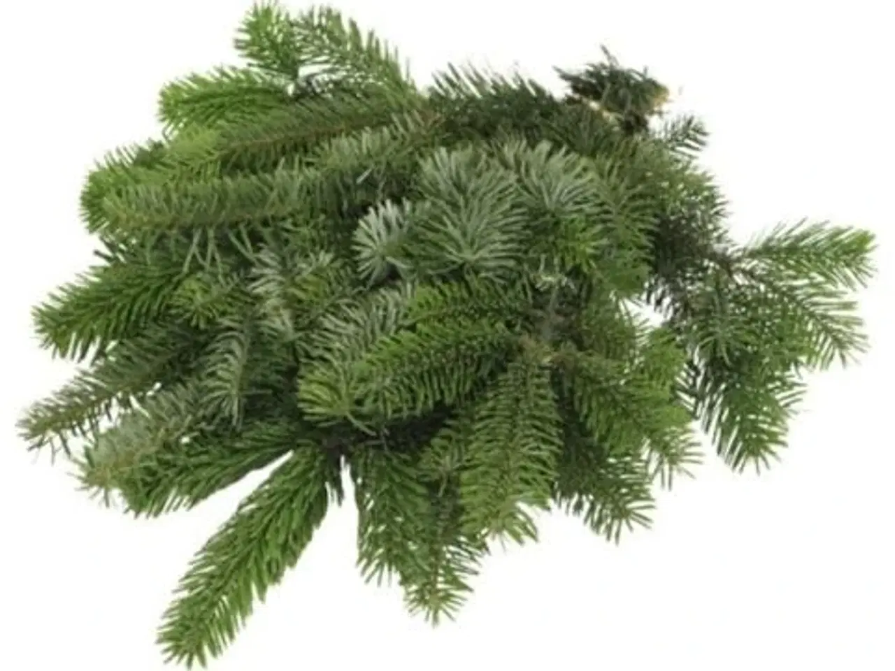 Billede 1 - Klip selv pyntegrønt