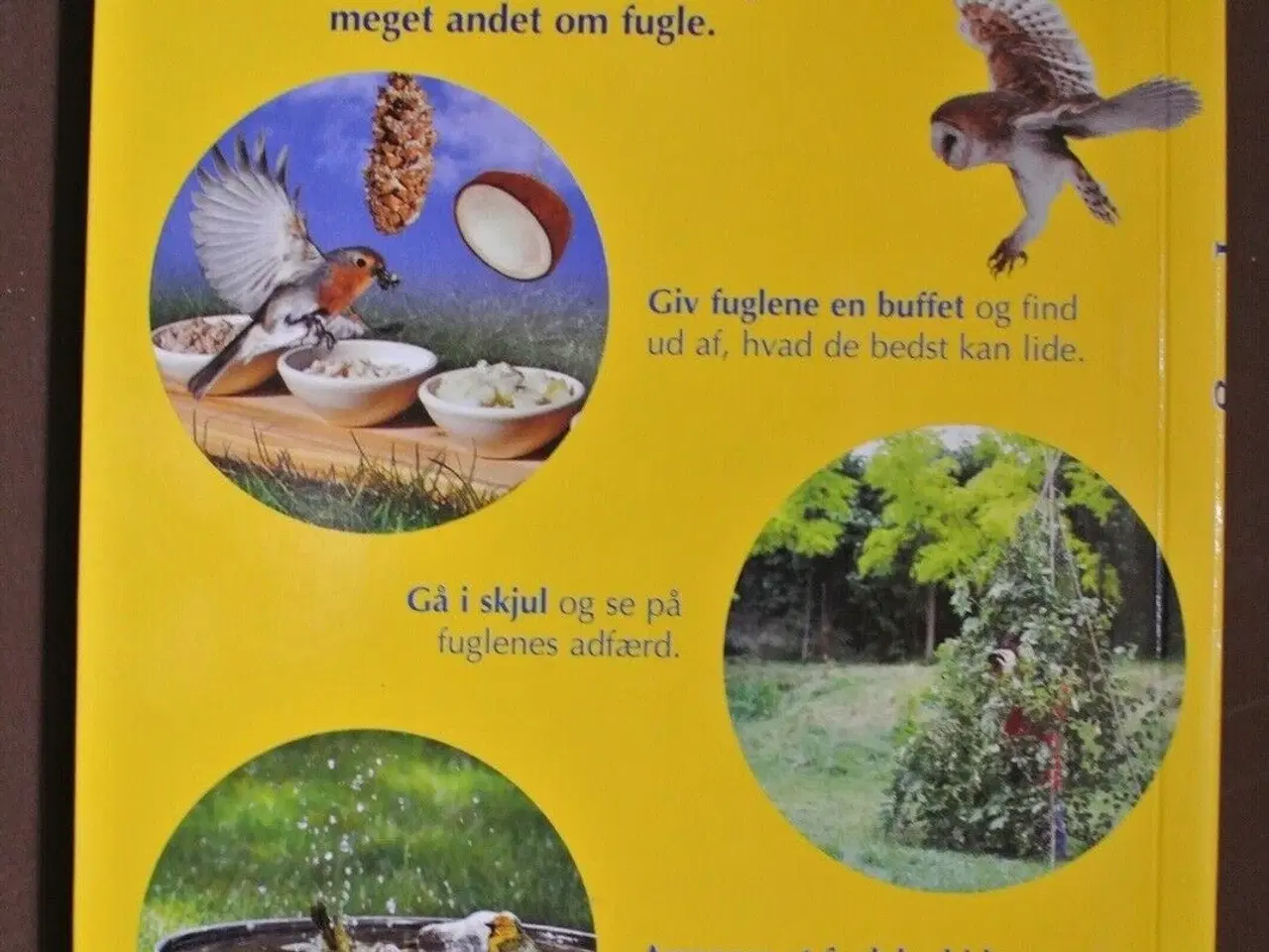 Billede 3 - se på fugle - naturguide, af david burnie, emne: d