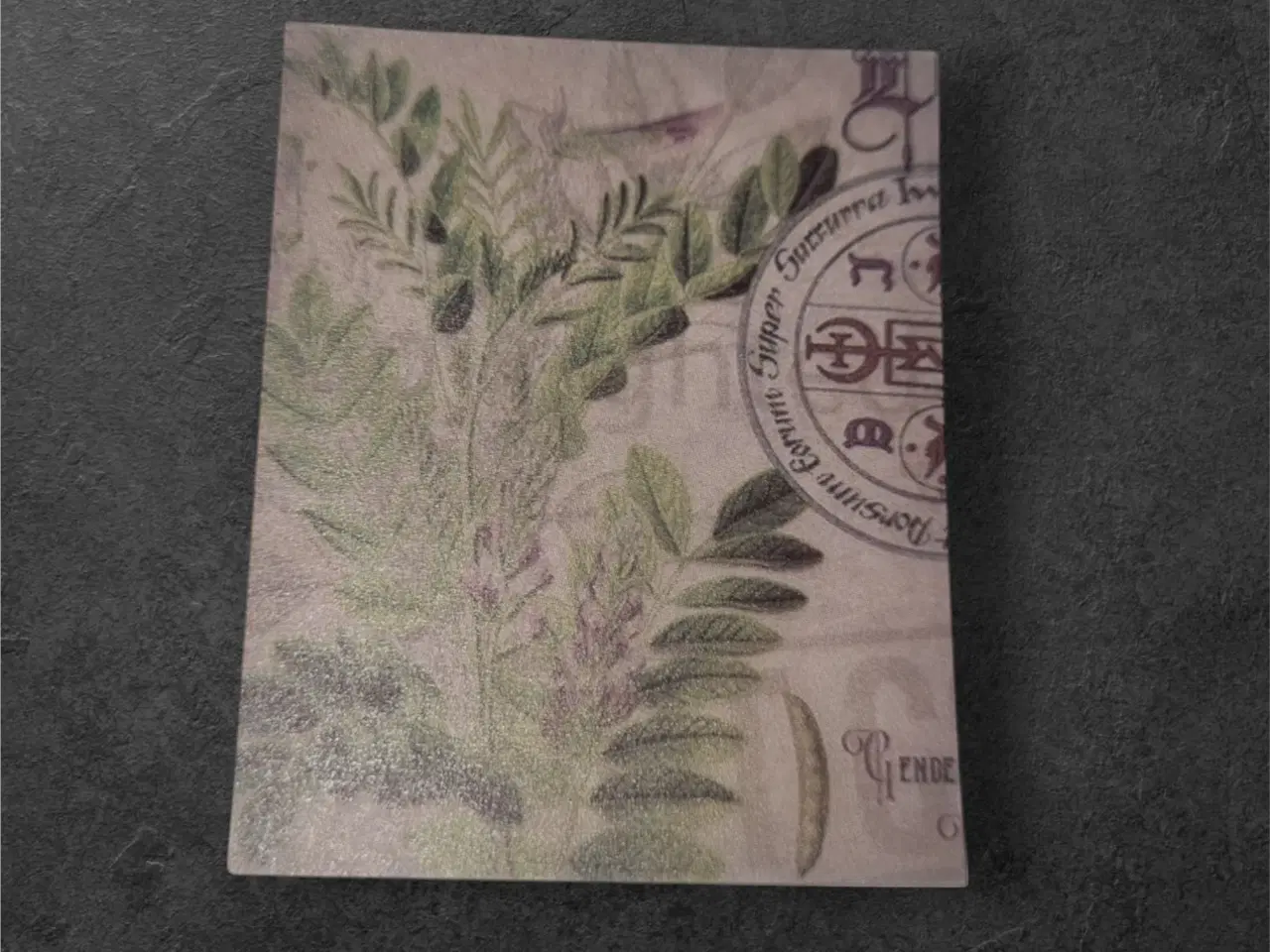 Billede 1 - Annonce 64 - Hobby