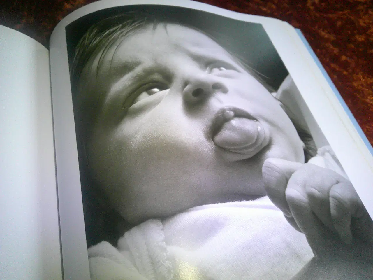 Billede 4 - Your Baby is Speaking to You,  Kevin Nugent