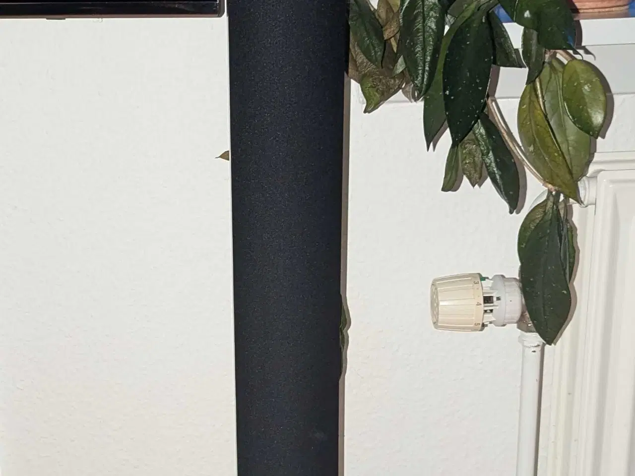 Billede 1 - Flot BEOLAB 6000 SÆLGES