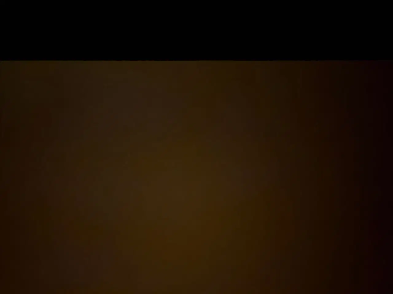 Billede 1 - Selvskabs hest 