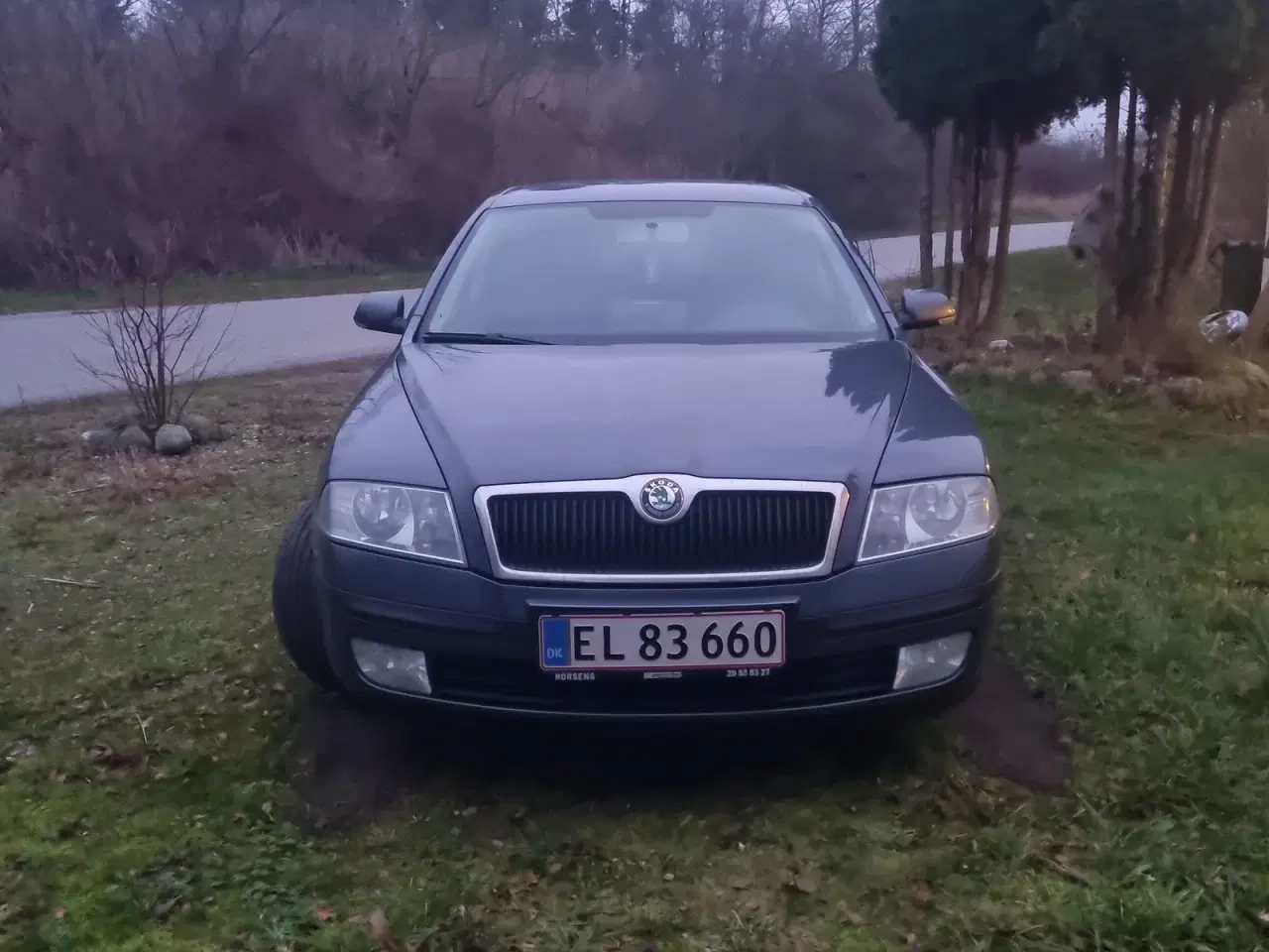 Billede 2 - Skoda Octavia 2,0 TDi Elegance