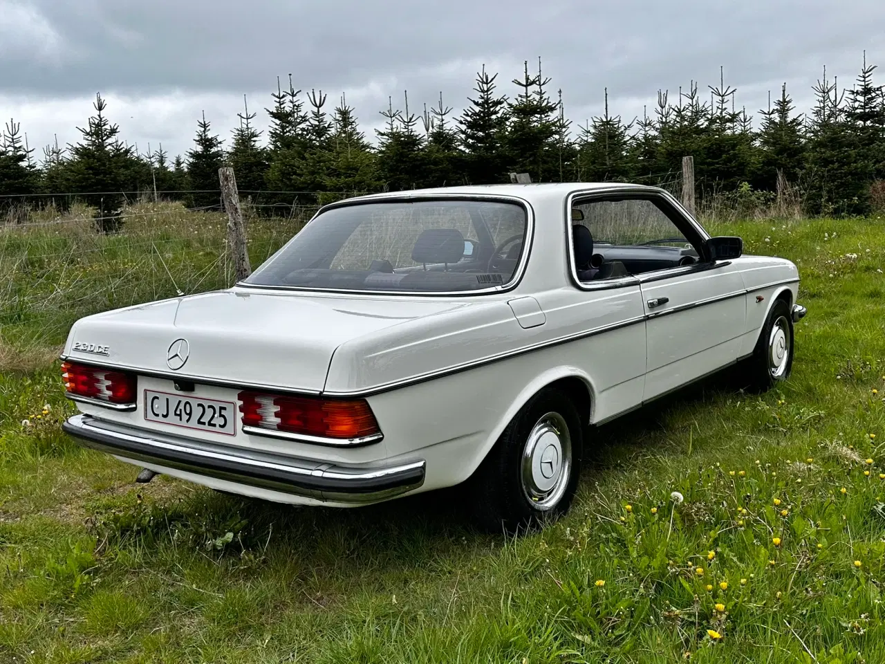 Billede 6 -  1980 Mercedes Daimler 230 CE 1980 KUN 180.000 KM 