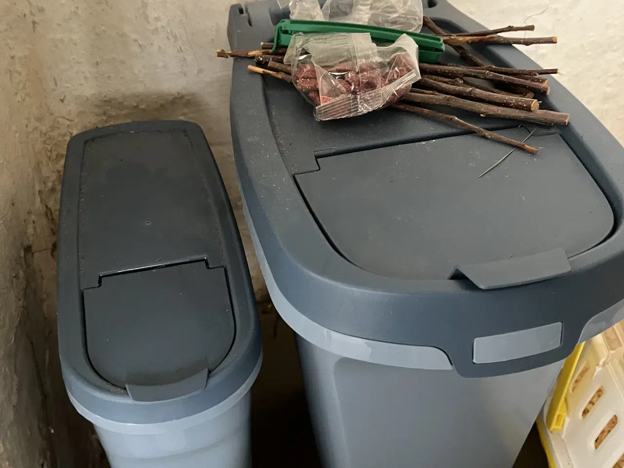 Billede 8 - Søde og håndtamme marsvin sælges 🐹