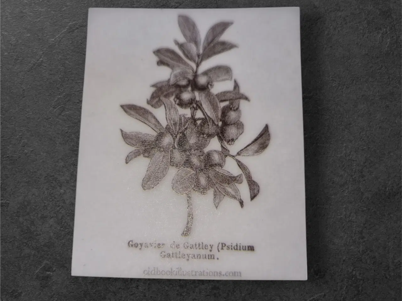 Billede 1 - Forvandl dine kreationer med botanisk papir