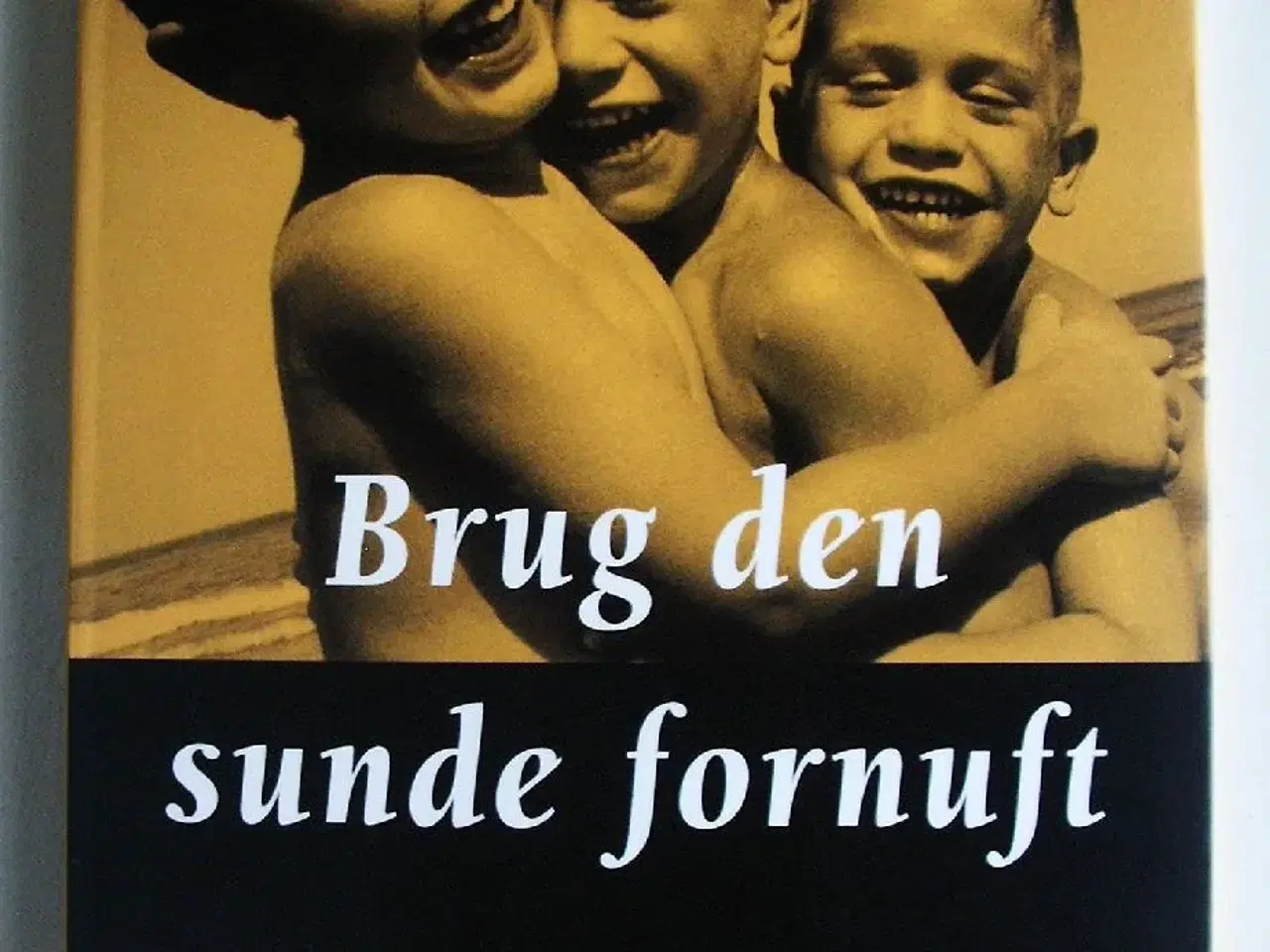 Billede 1 - Brug den sunde fornuft 