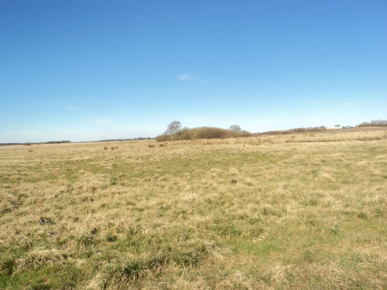 Billede 2 - Naturareal i Midtjylland.