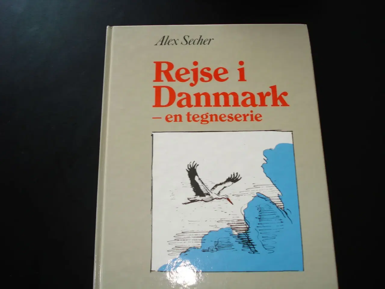 Billede 1 - Rejse i Danmark  - en tegneserie