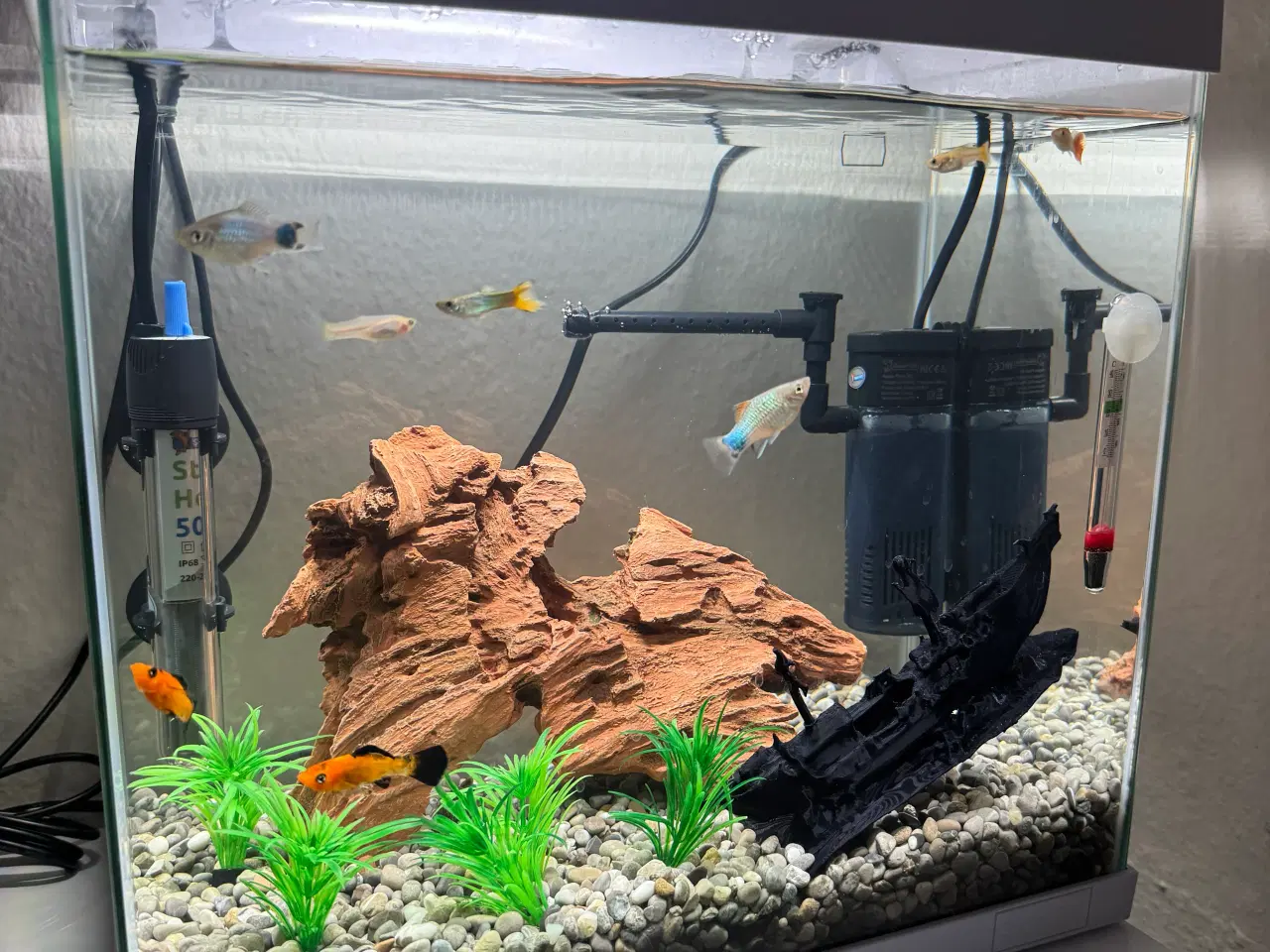 Billede 2 - Akvarie med fisk