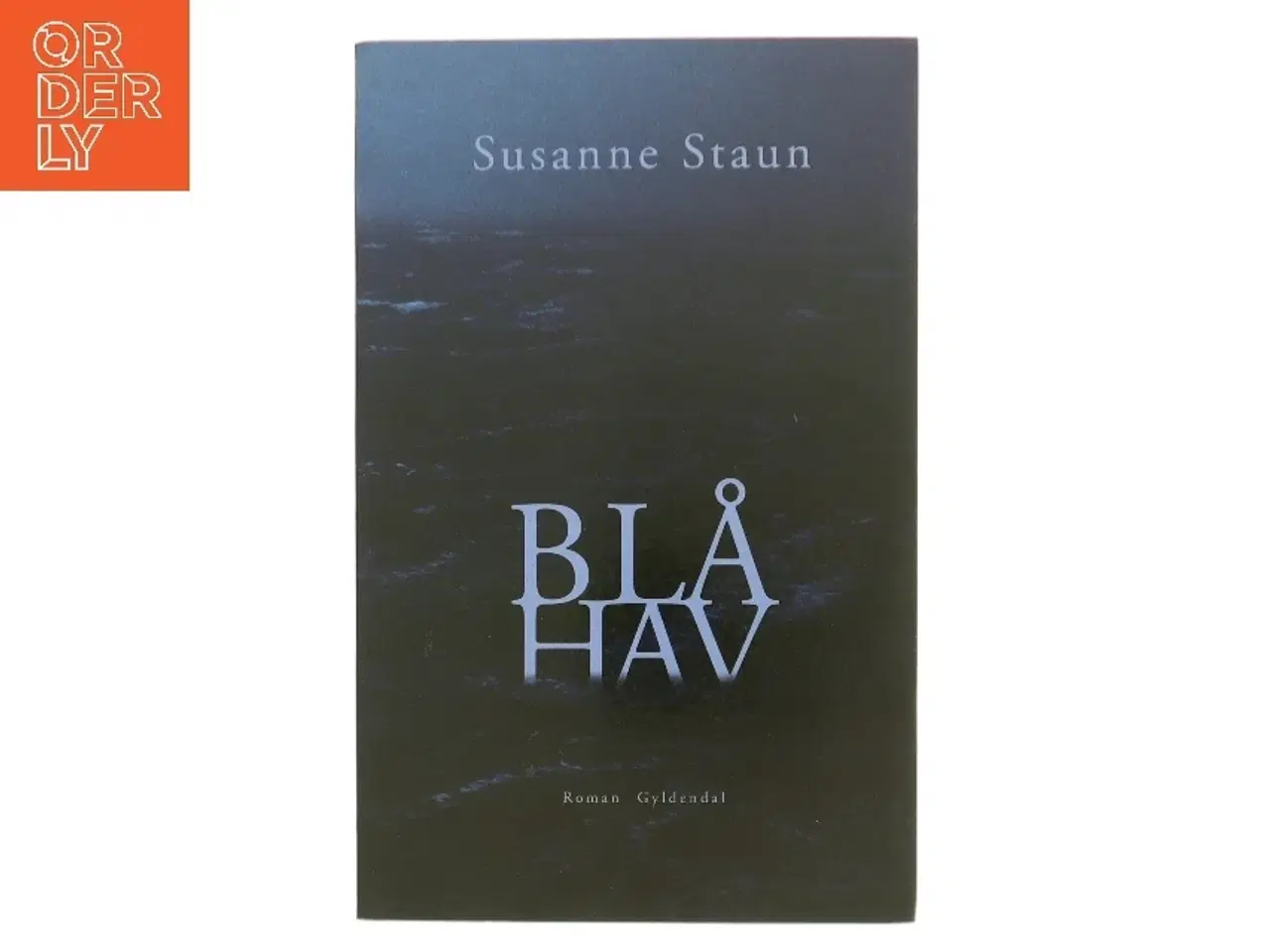 Billede 1 - Blå hav : roman af Susanne Staun (Bog)