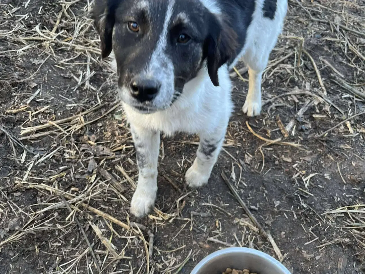 Billede 4 - Sødeste Lumos 🩷