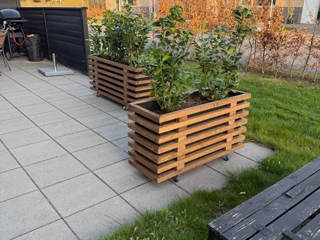 Billede 4 - Plantekasser. Espalier. På mål.