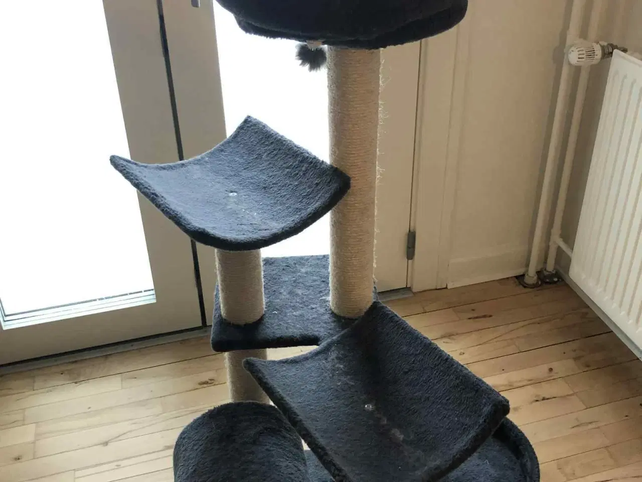 Billede 1 - alt til kat