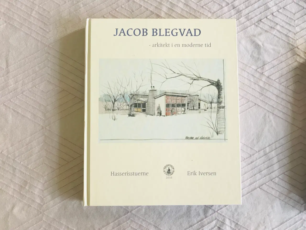 Billede 1 - Jacob Blegvad - arkitekt i en moderne tid