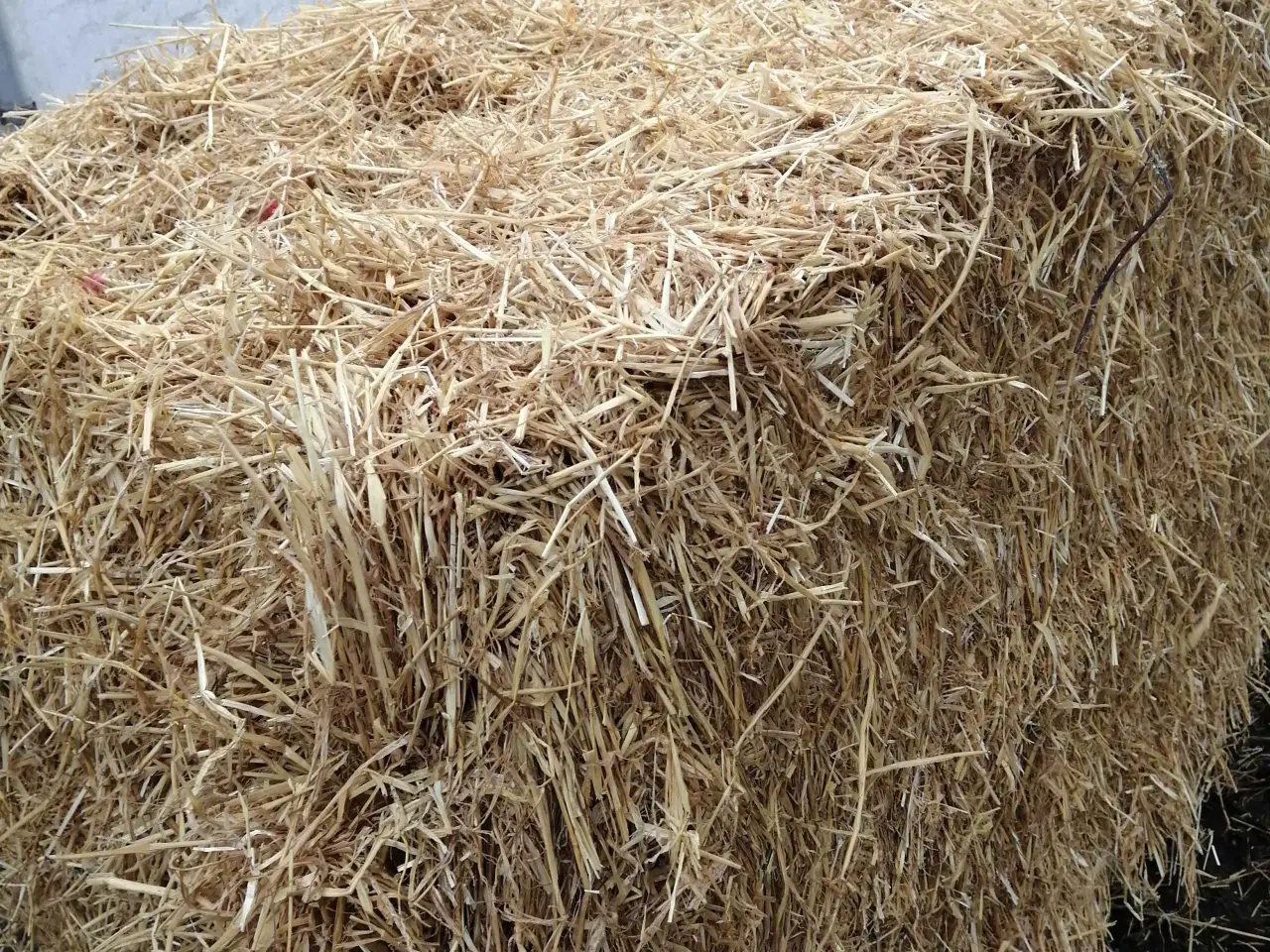 Billede 2 - Byghalm sælges